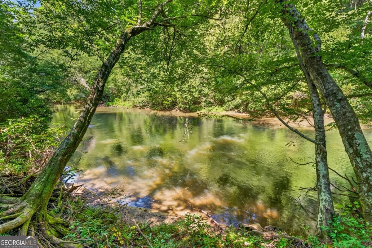 48 Riverwood Trail Ellijay - Photo 14