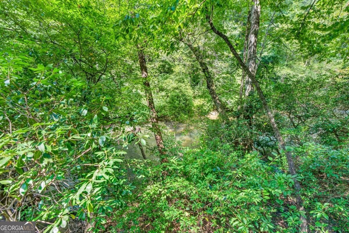 48 Riverwood Trail Ellijay - Photo 45
