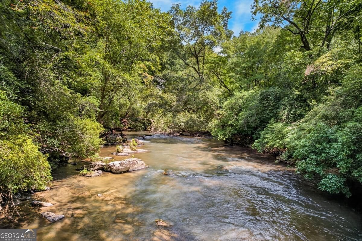 48 Riverwood Trail Ellijay - Photo 6
