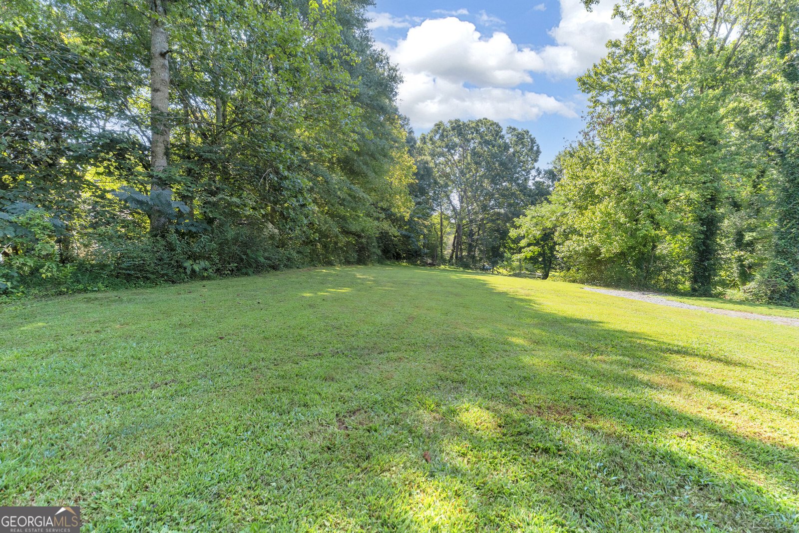 1472 Hollywood Hwy Clarkesville - Photo 55