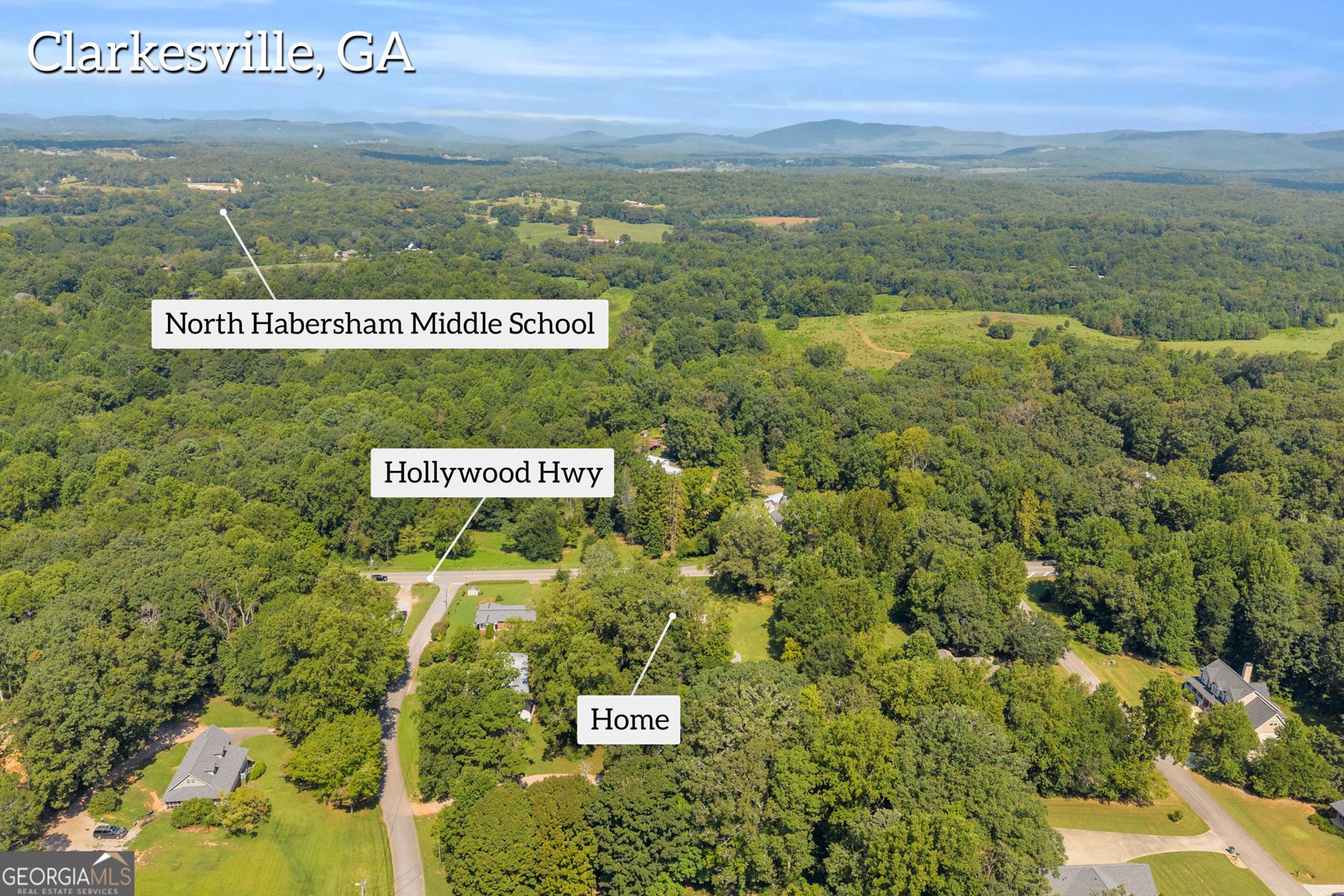 1472 Hollywood Hwy Clarkesville - Photo 61