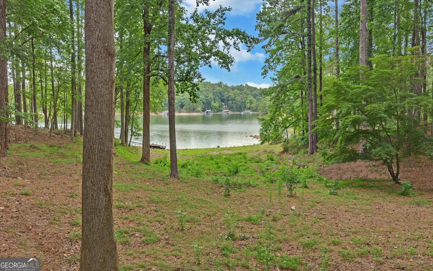 4593 T Moore Road Oakwood - Photo 35