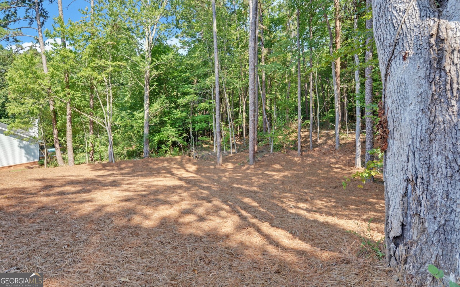 55 Wesley Circle Toccoa - Photo 43