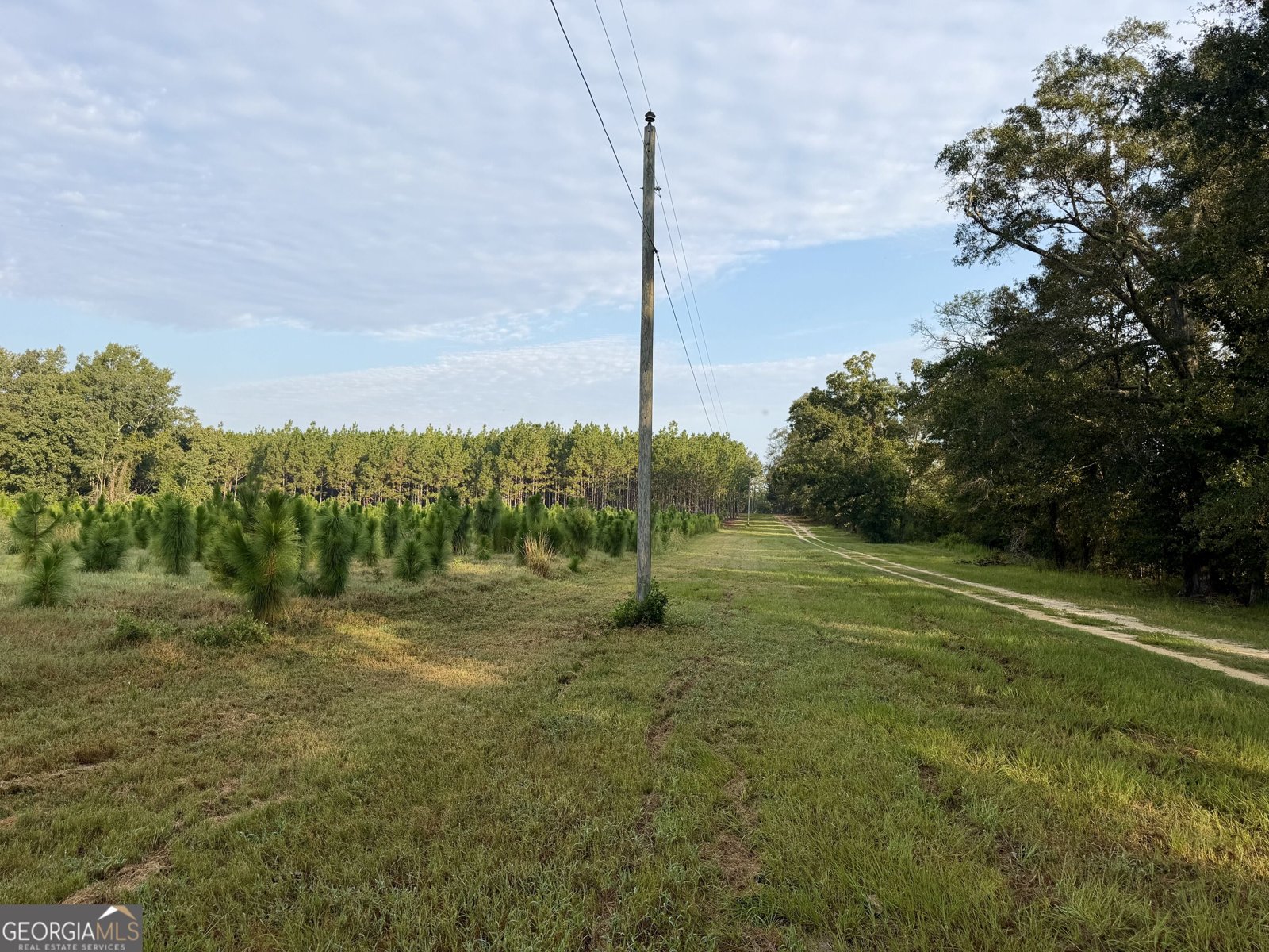 652 L A Peterson Road Rhine - Photo 19