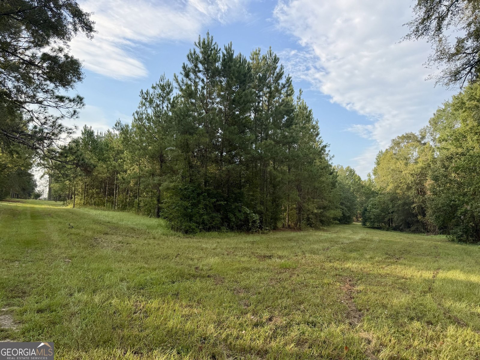 652 L A Peterson Road Rhine - Photo 22