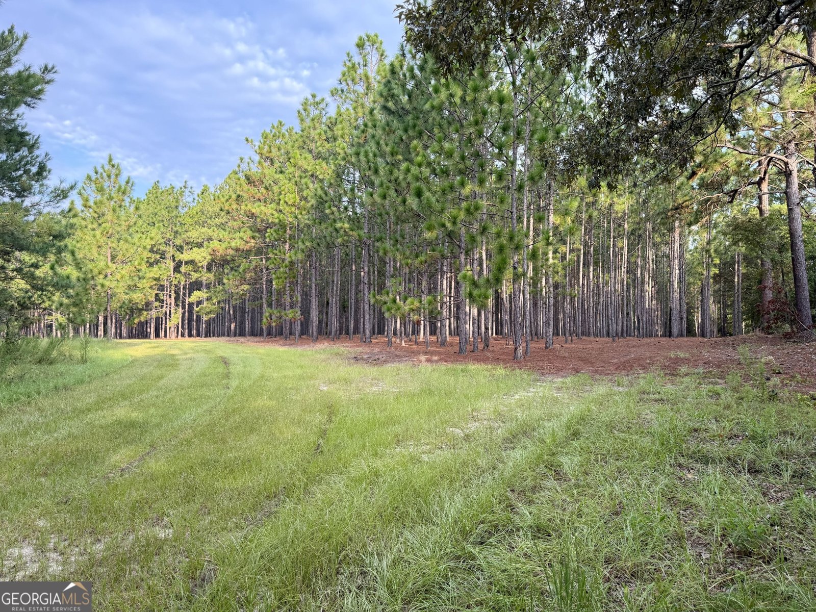 652 L A Peterson Road Rhine - Photo 23