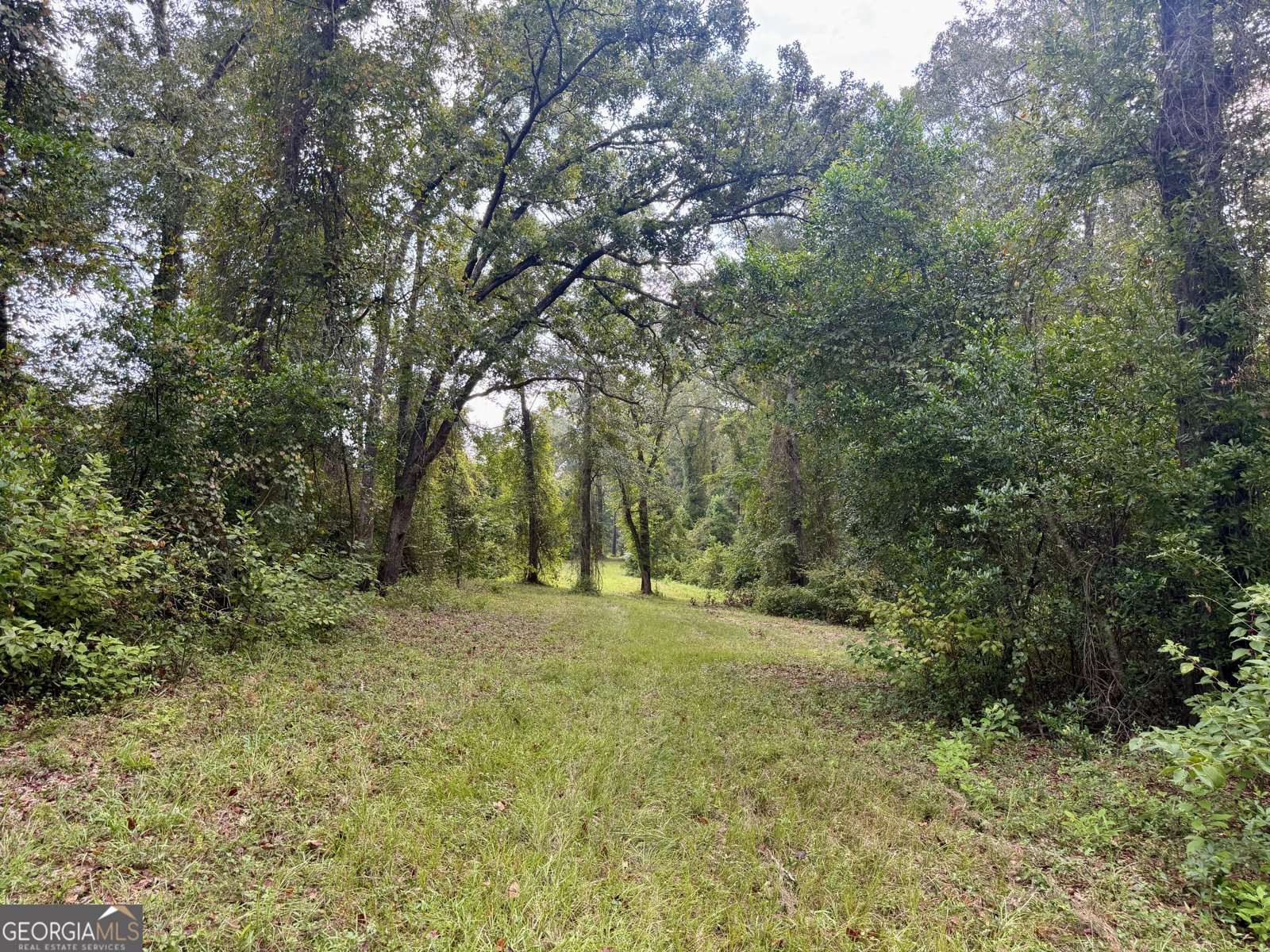 652 L A Peterson Road Rhine - Photo 26