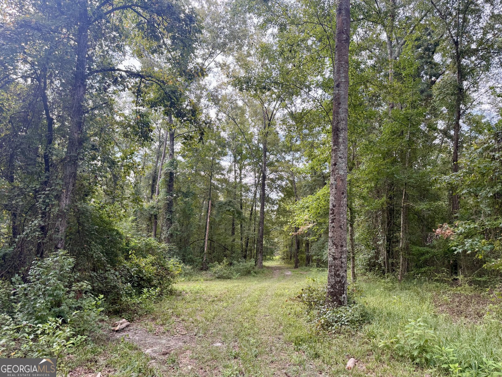 652 L A Peterson Road Rhine - Photo 27