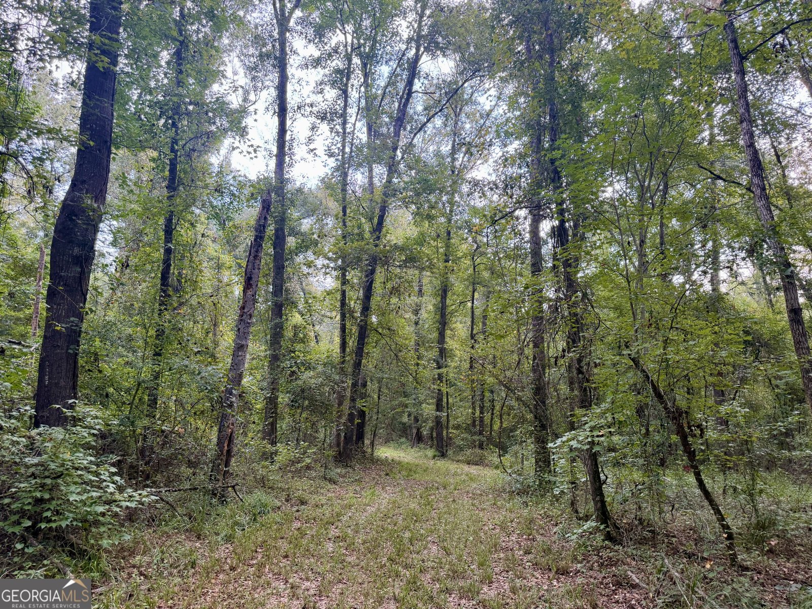 652 L A Peterson Road Rhine - Photo 28