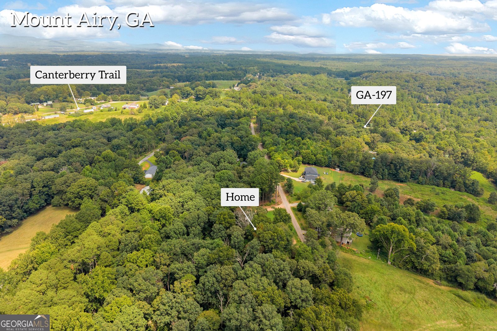 515 Donald Cleveland Road Mount Airy - Photo 54