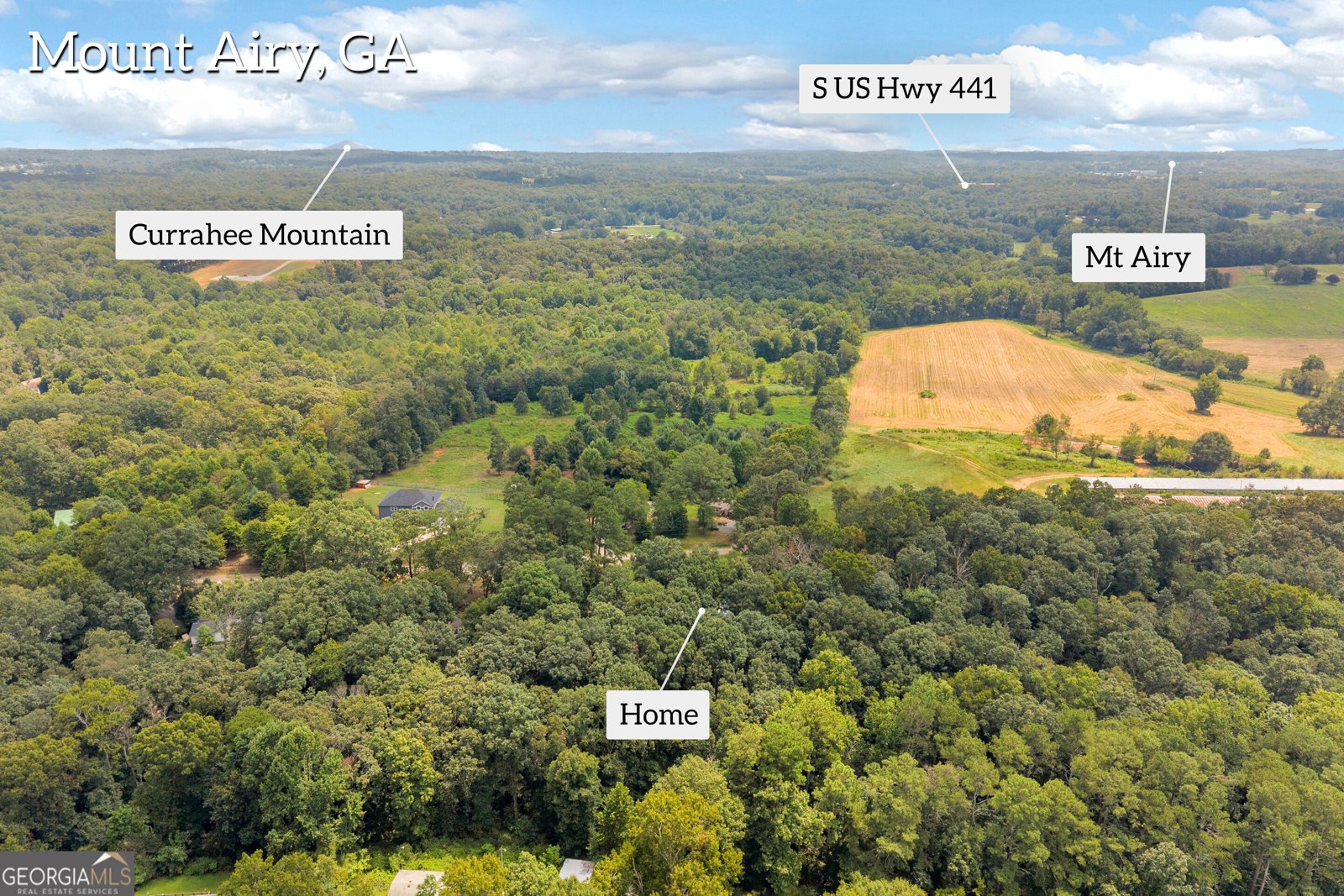 515 Donald Cleveland Road Mount Airy - Photo 57