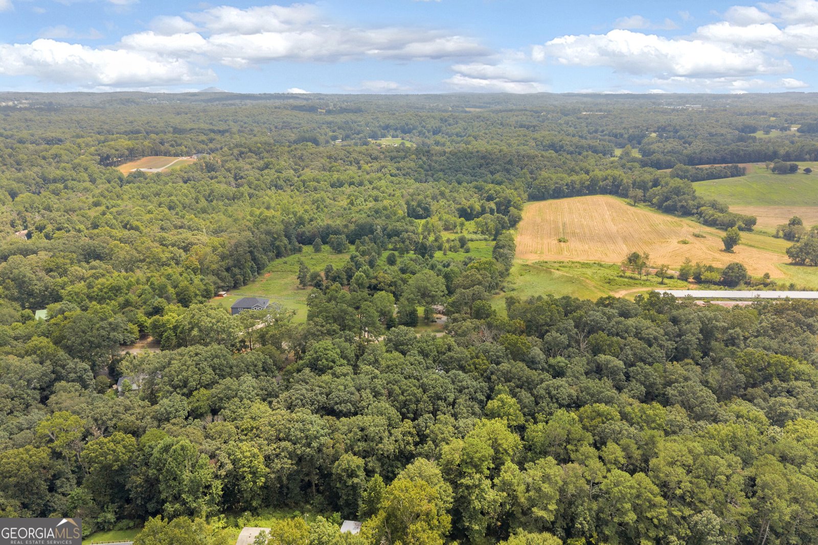 515 Donald Cleveland Road Mount Airy - Photo 58