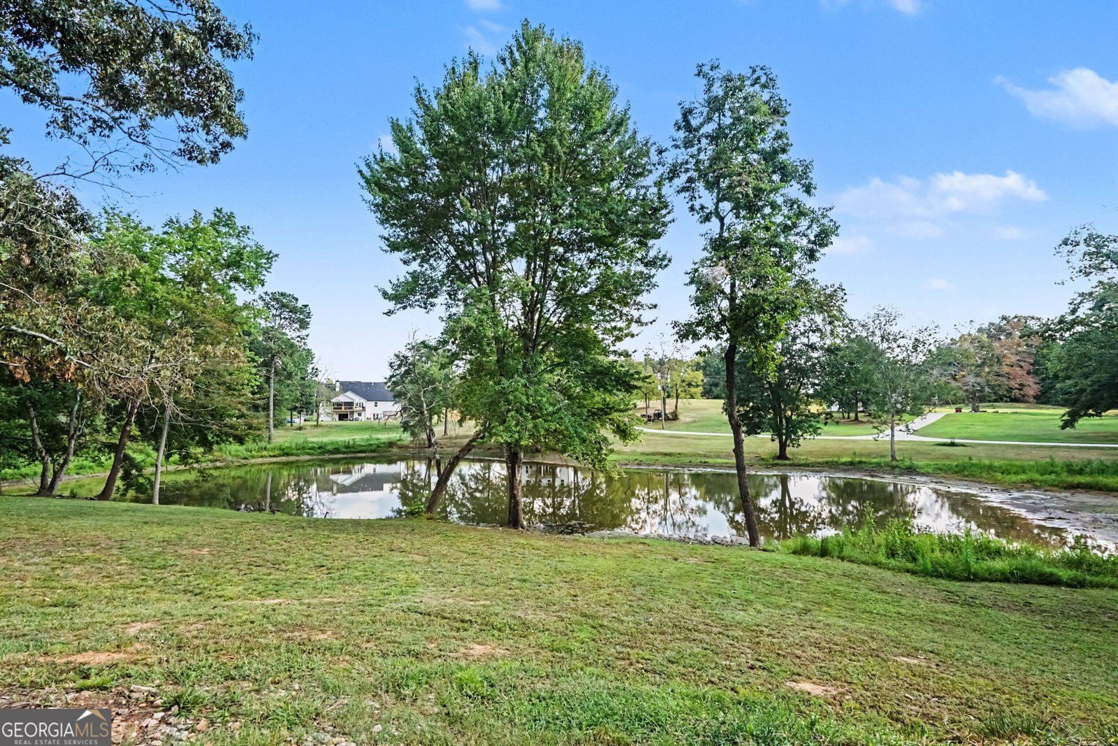 878 Forrester Cemetery Road Covington - Photo 39