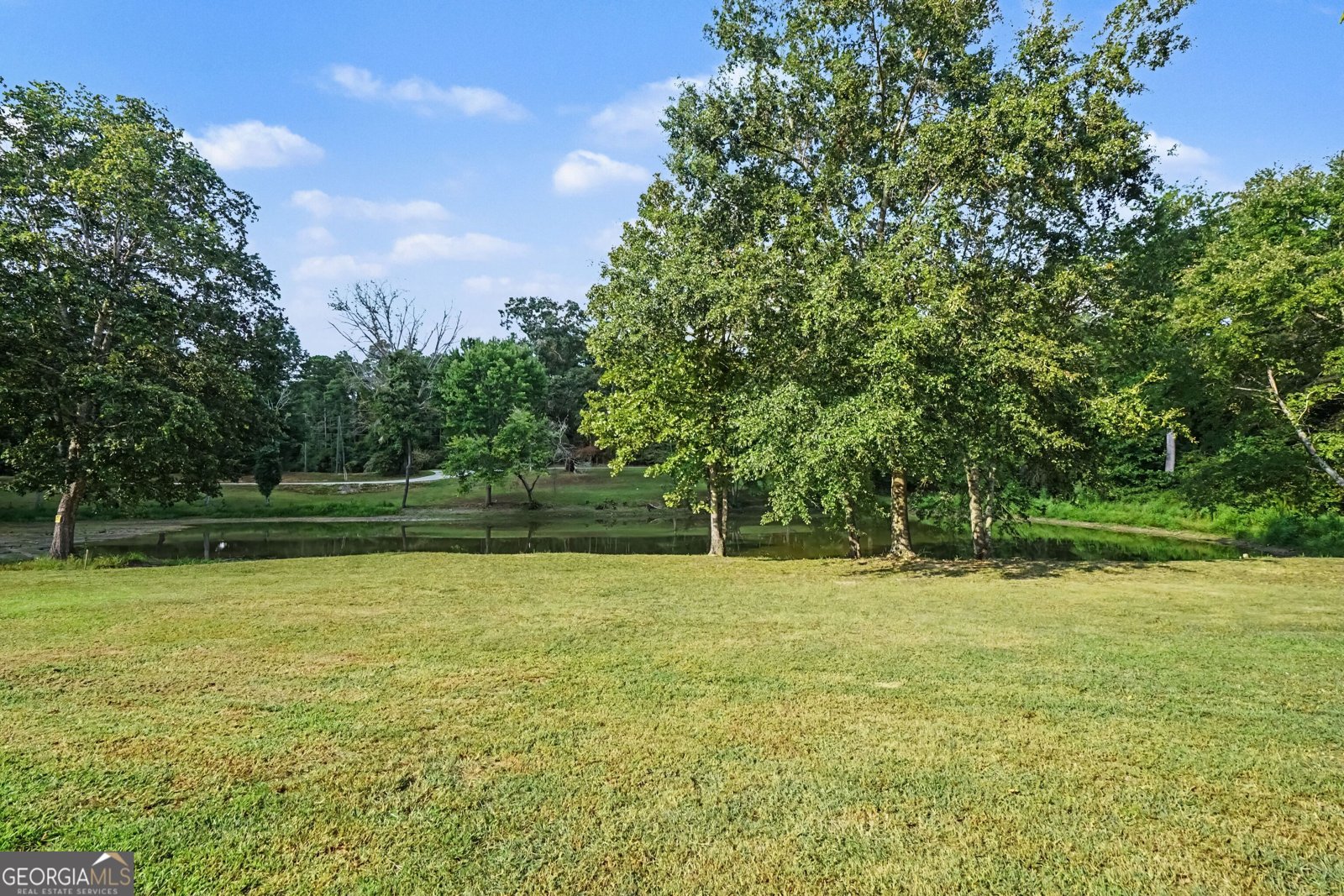 878 Forrester Cemetery Road Covington - Photo 41