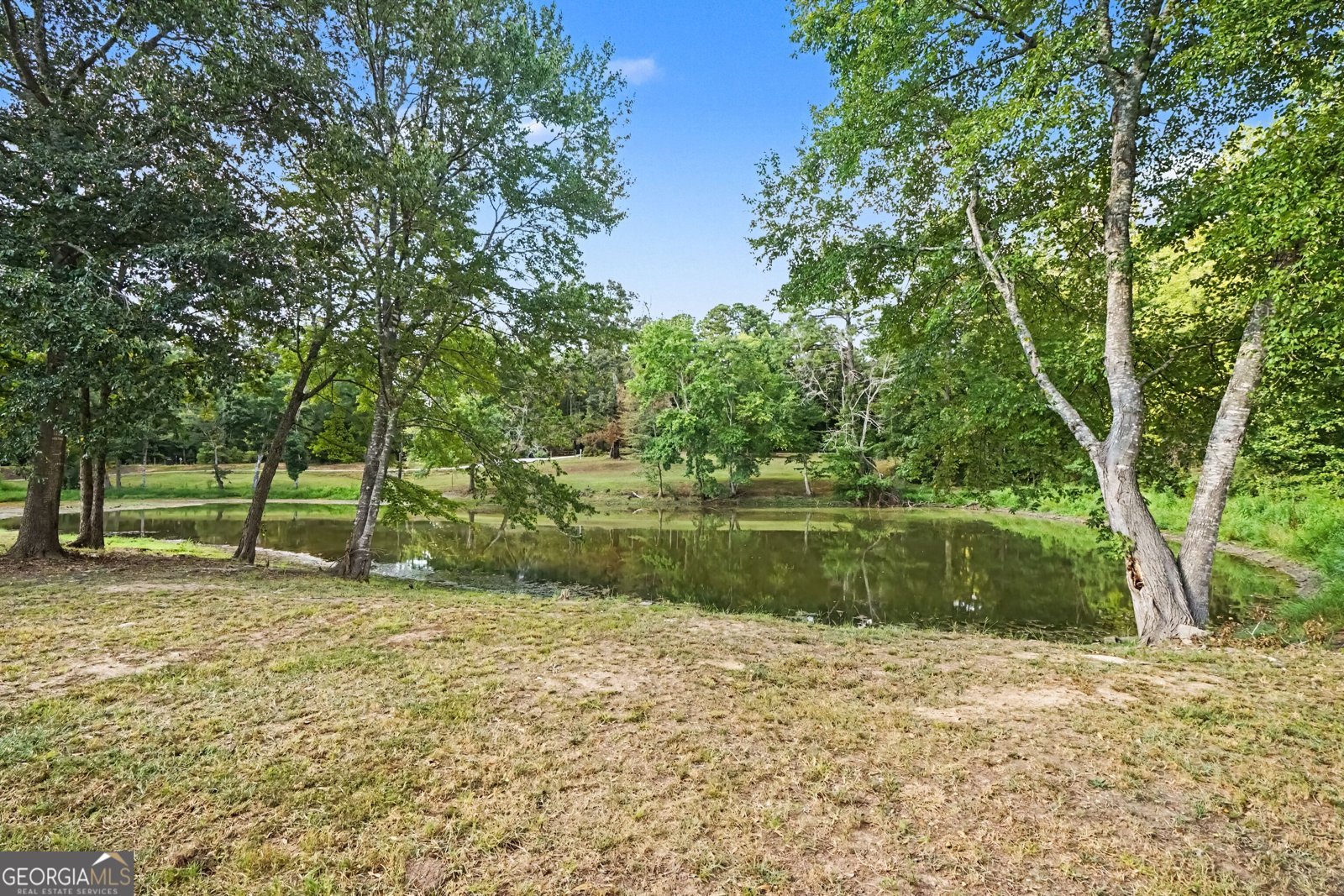 878 Forrester Cemetery Road Covington - Photo 42