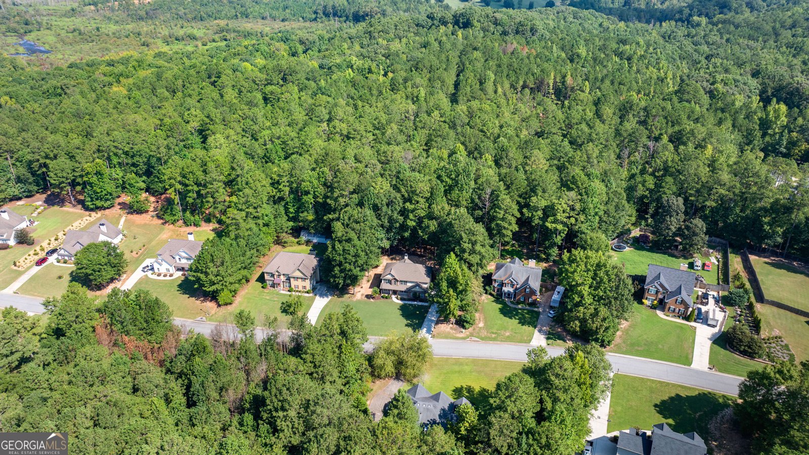 119 Bantry Park Drive Newnan - Photo 54