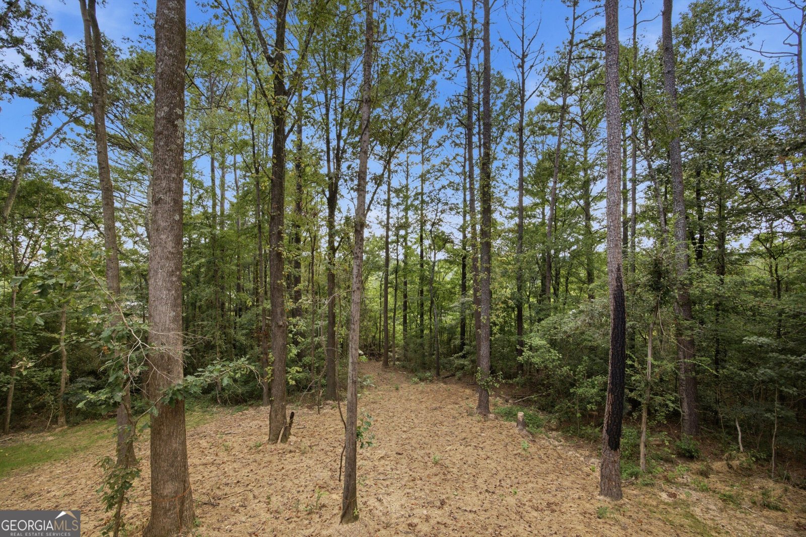 299 Eaglebend Drive Cohutta - Photo 31