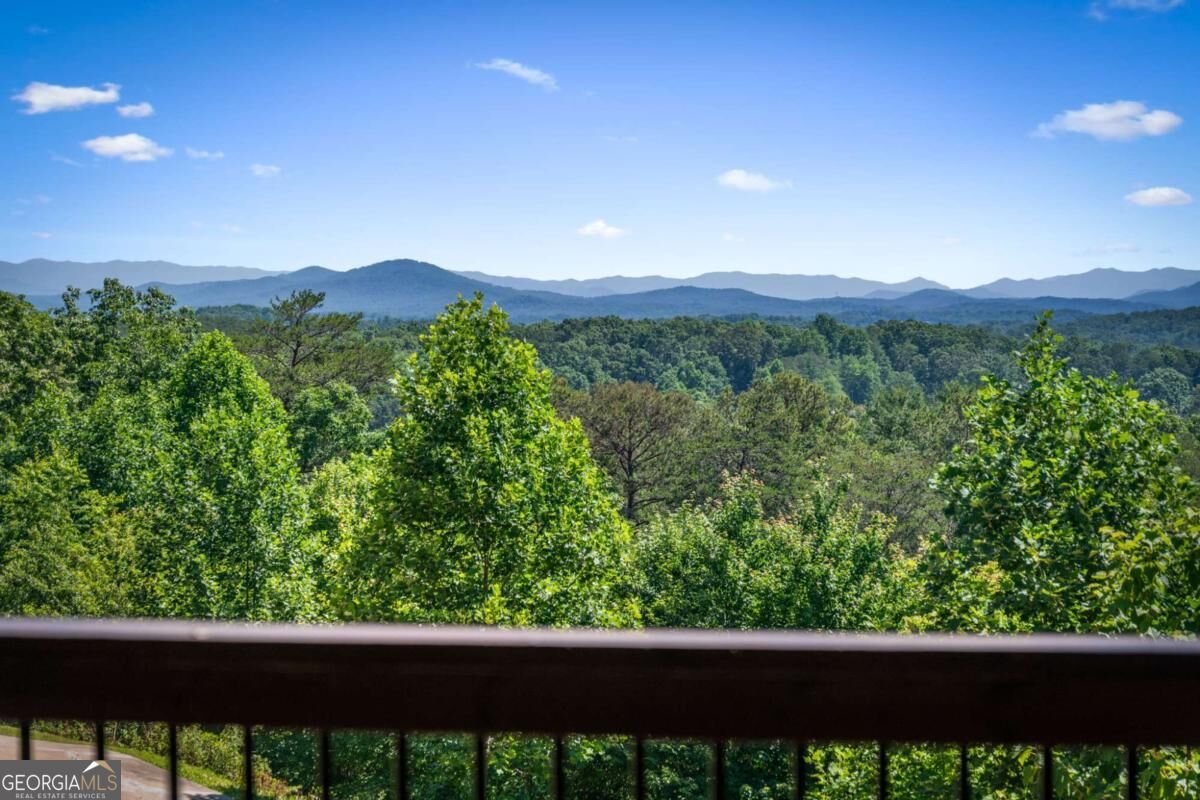 259 Red Bush School Road Blue Ridge - Photo 20