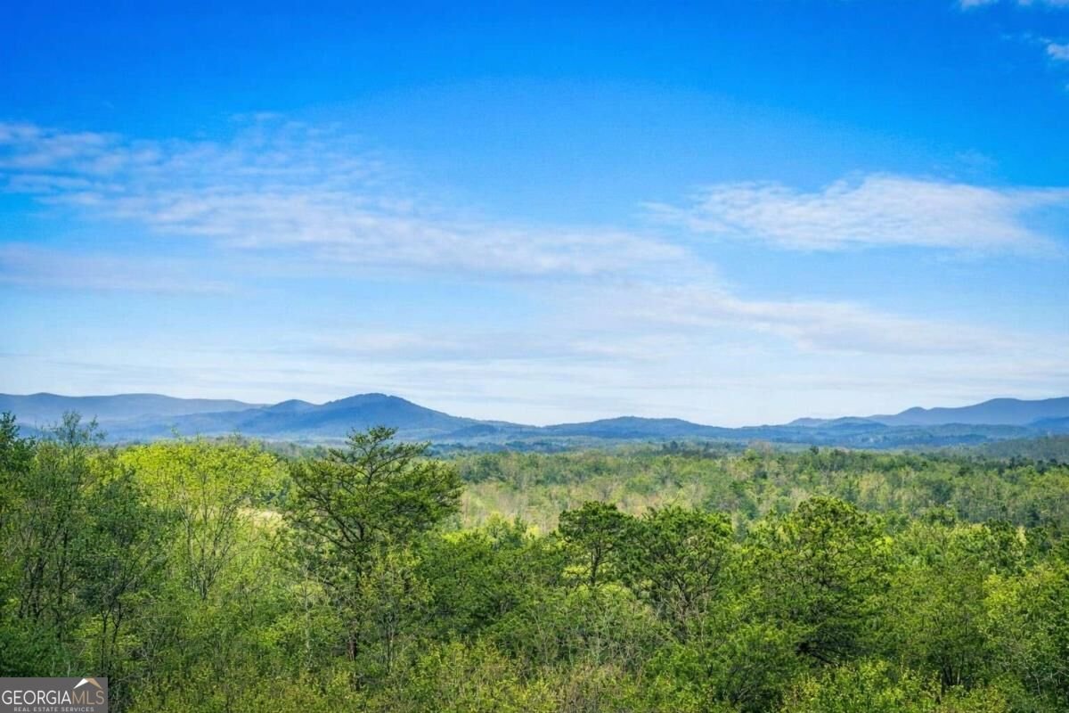 259 Red Bush School Road Blue Ridge - Photo 21