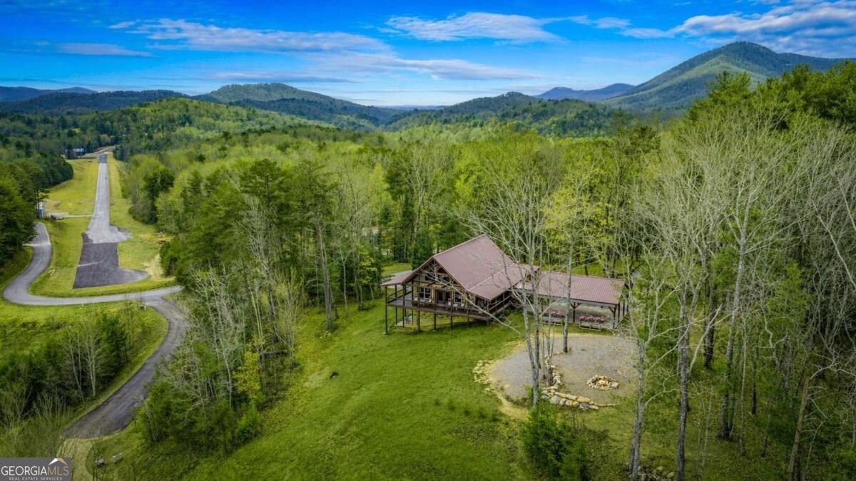 259 Red Bush School Road Blue Ridge - Photo 42