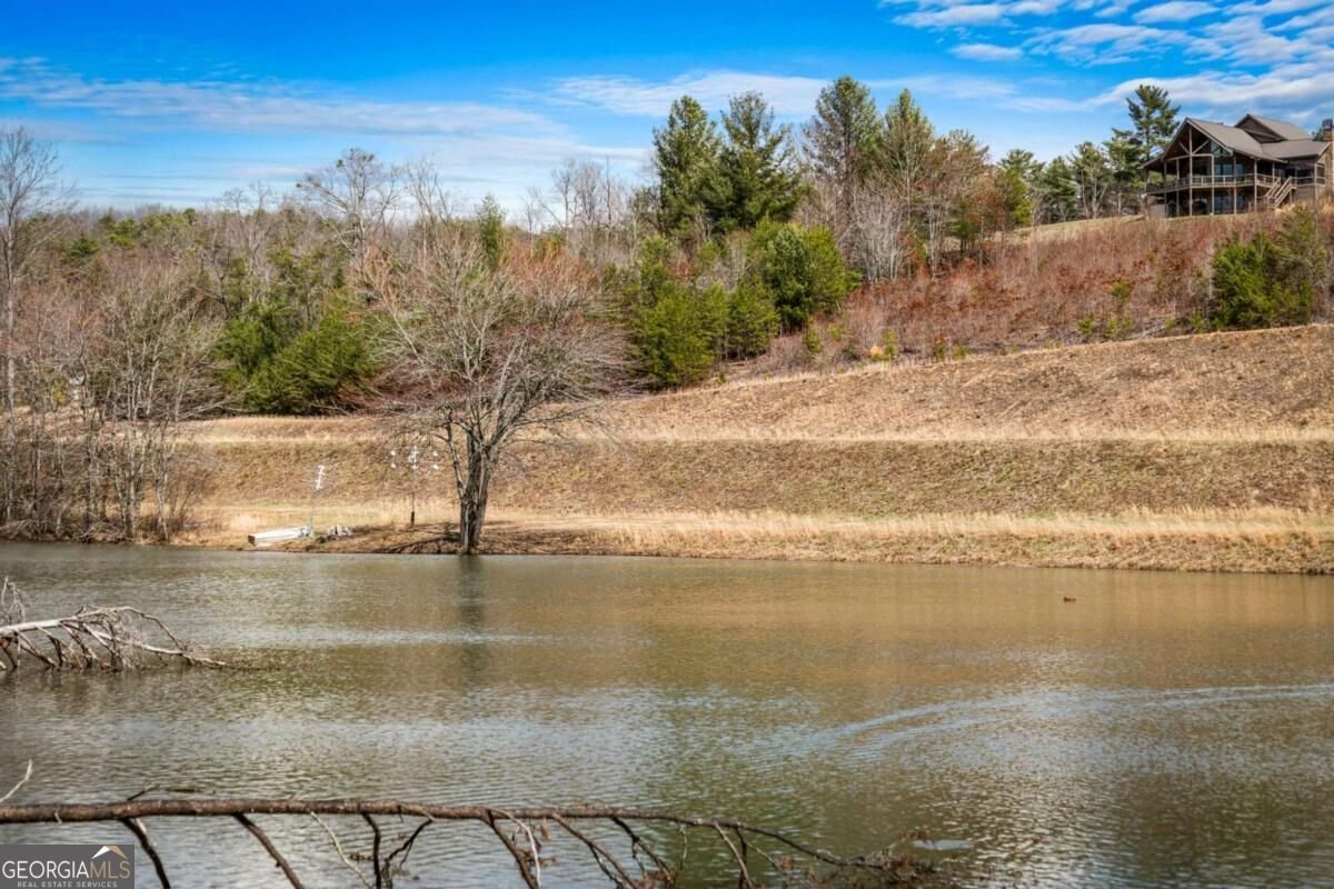259 Red Bush School Road Blue Ridge - Photo 46