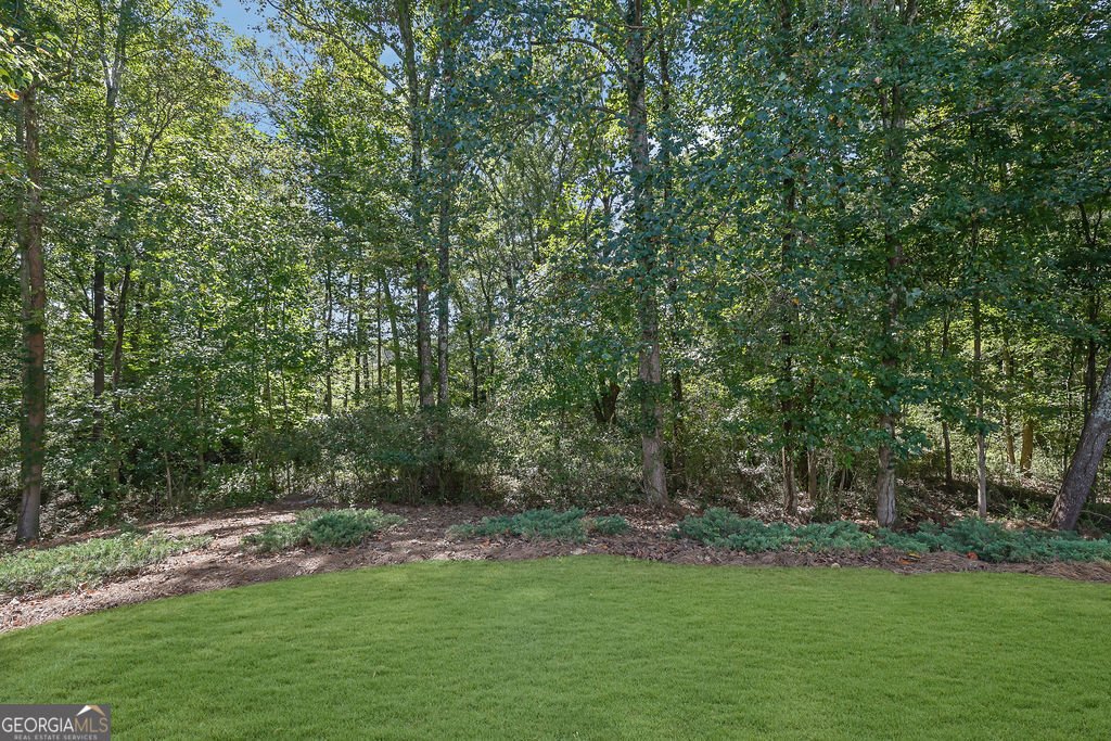 480 Stambridge Court Johns Creek - Photo 31