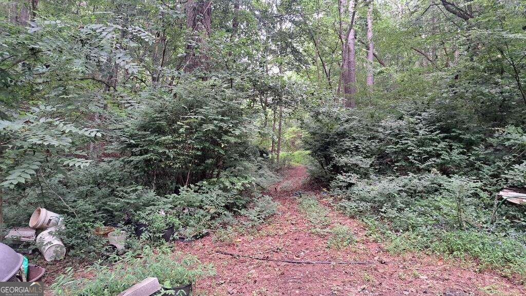 202 Standing Rock Lane Ellijay - Photo 15