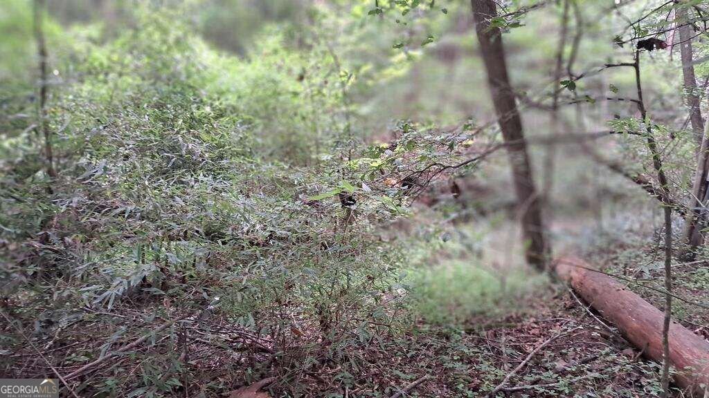 202 Standing Rock Lane Ellijay - Photo 6
