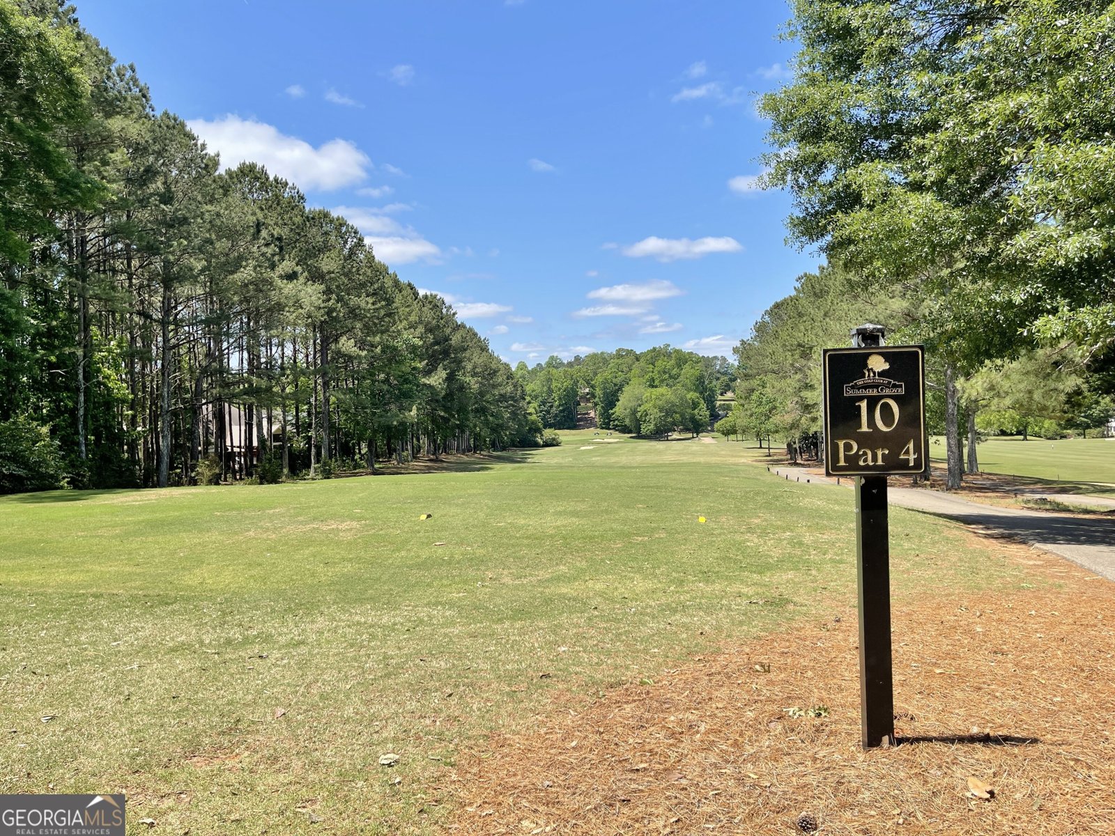 36 Verandah View Newnan - Photo 67