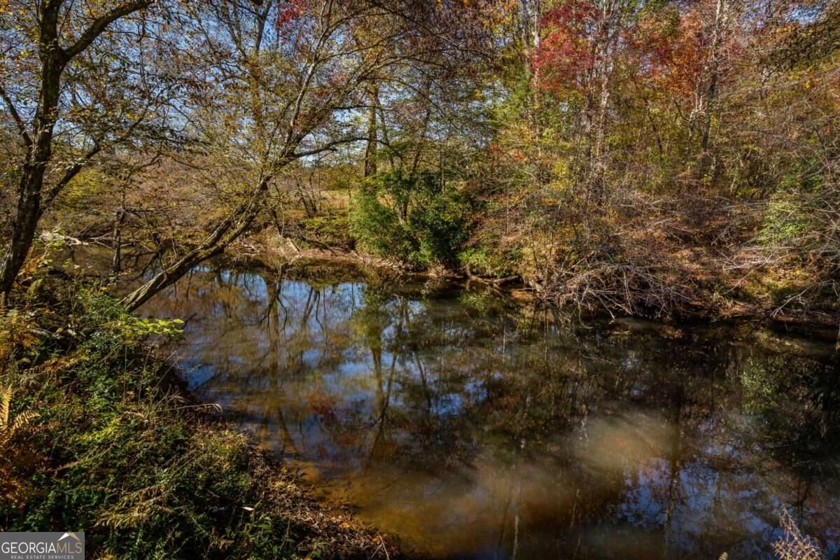 1248 Sunset Road Epworth - Photo 50