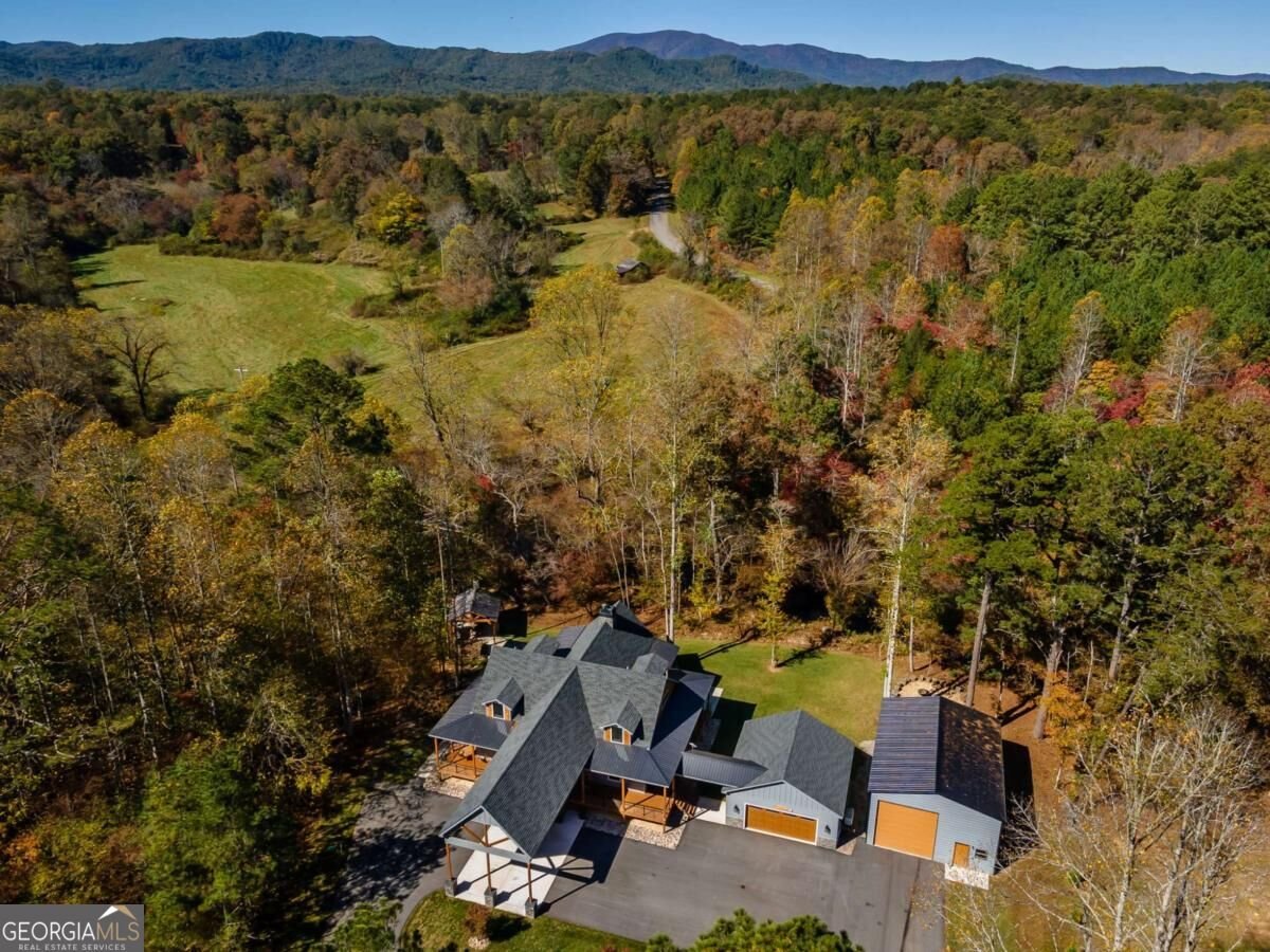 1248 Sunset Road Epworth - Photo 62