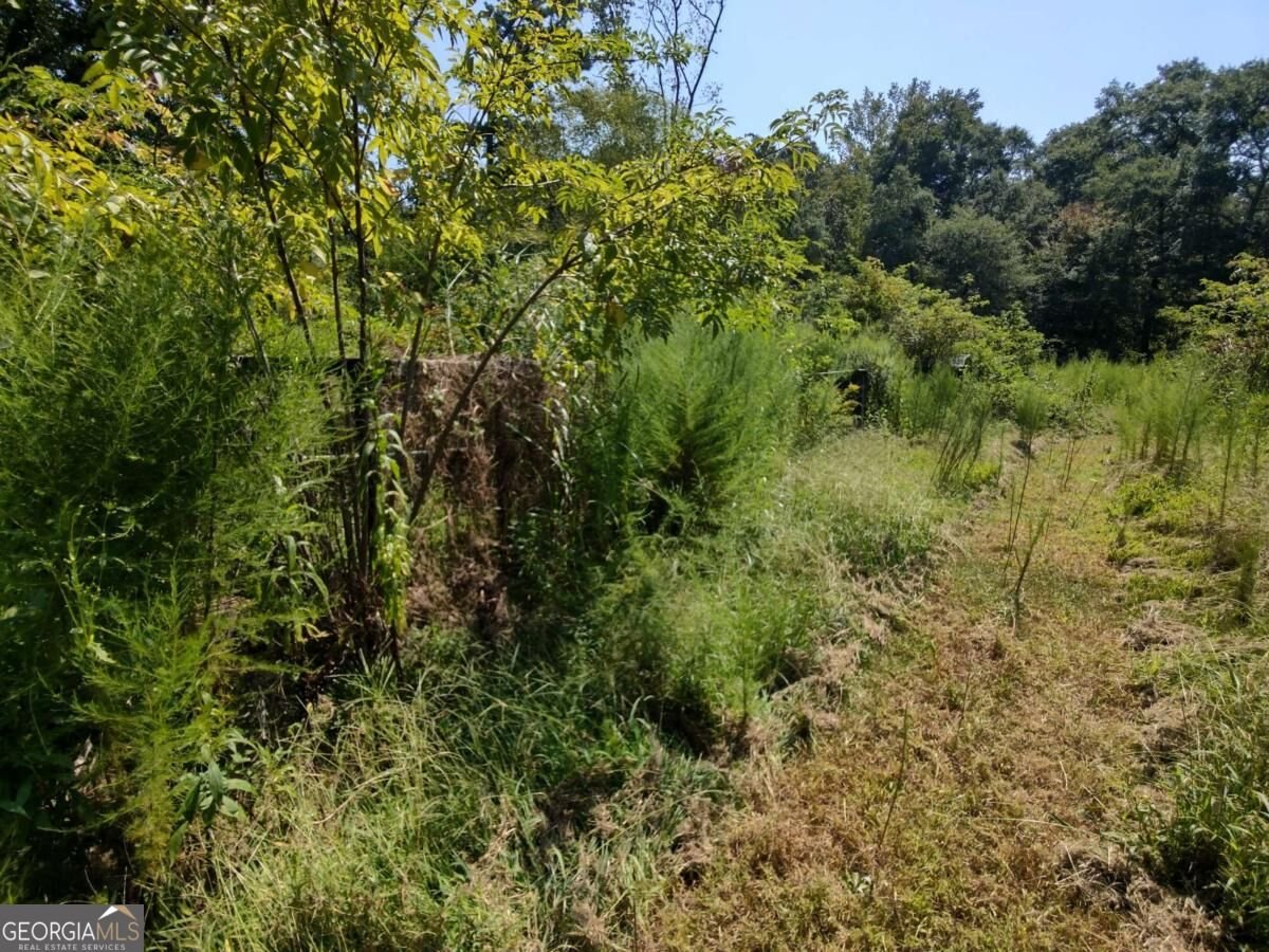 940 County Road 387 Cedar Bluff - Photo 28