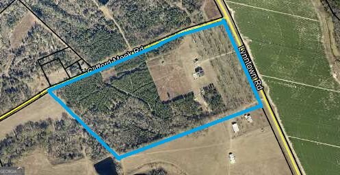 9999 Lynntown Road Collins - Photo 28