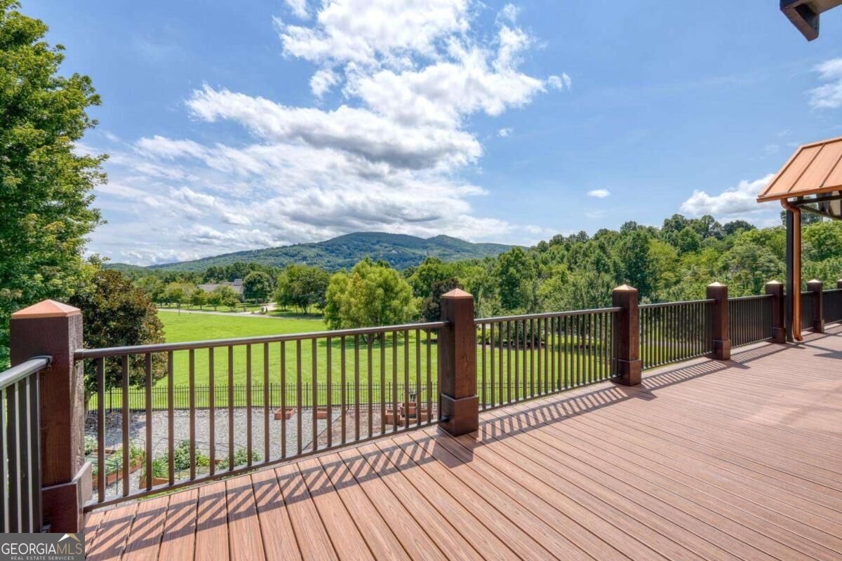 2206 High Meadows Lane Young Harris - Photo 57