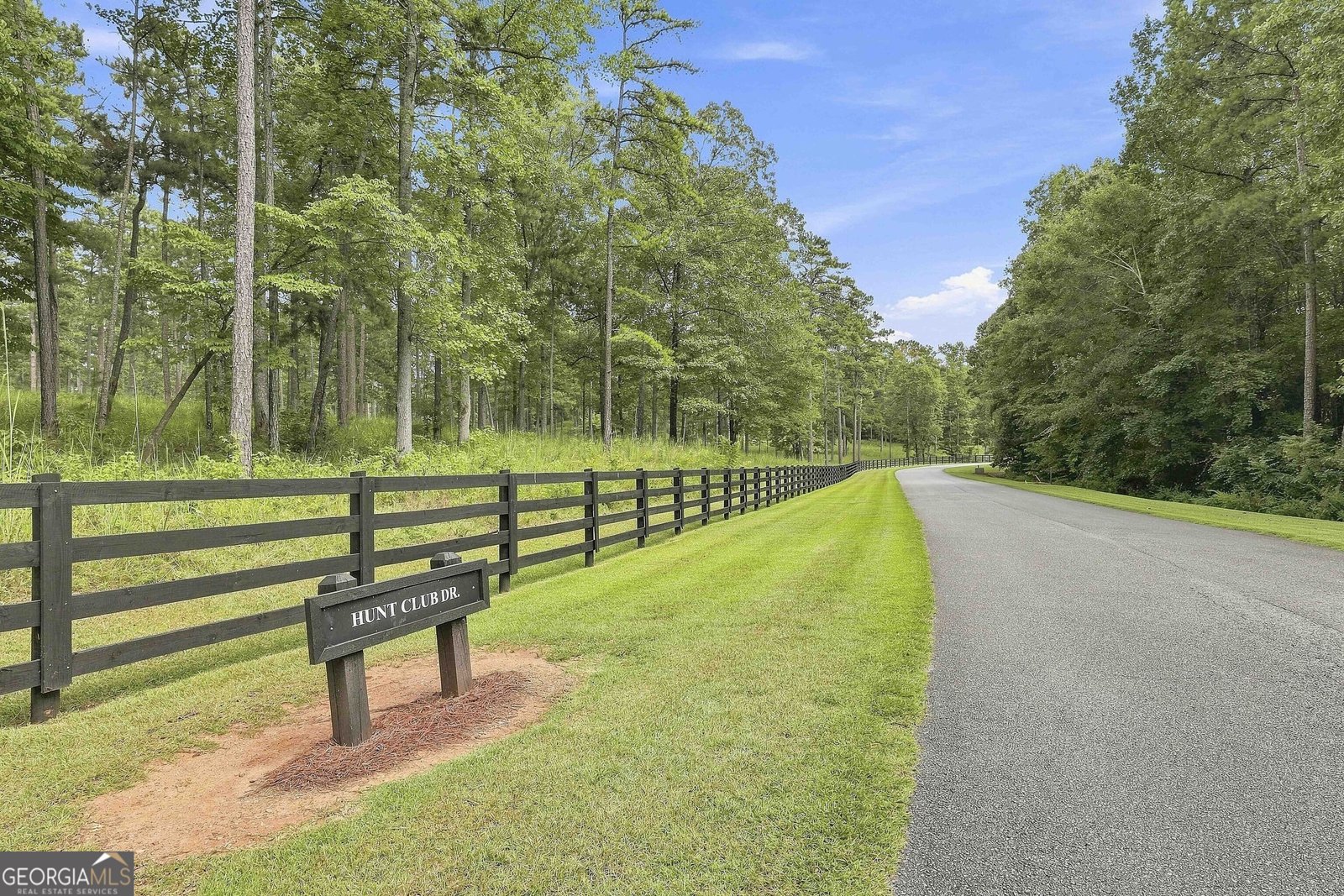 55 Paddleboat Lane Newnan - Photo 70