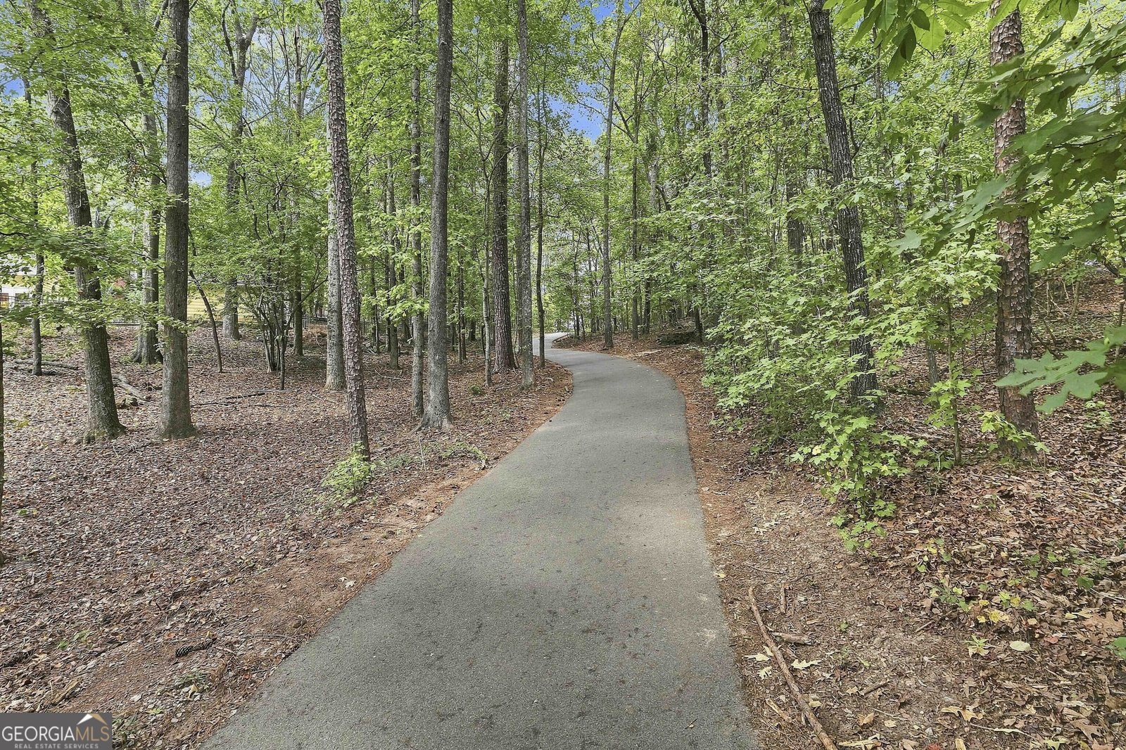 625 Bellenden Drive Peachtree City - Photo 60
