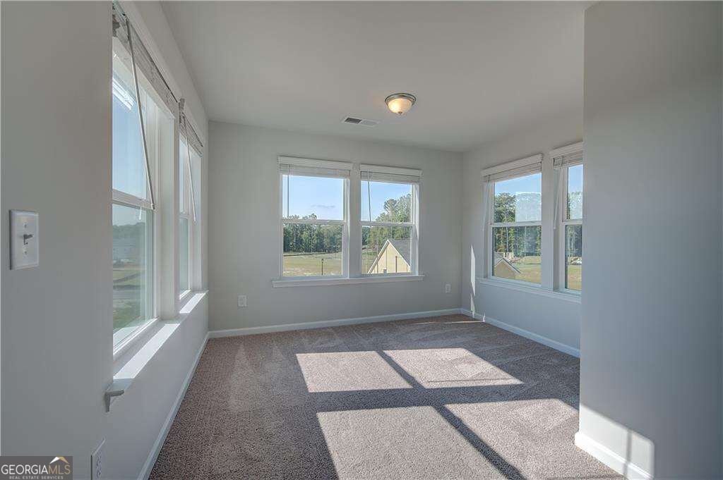 174 Crabbswood Drive Mcdonough - Photo 26