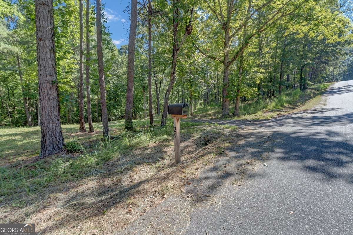 29 Chase Trail Dawsonville - Photo 35