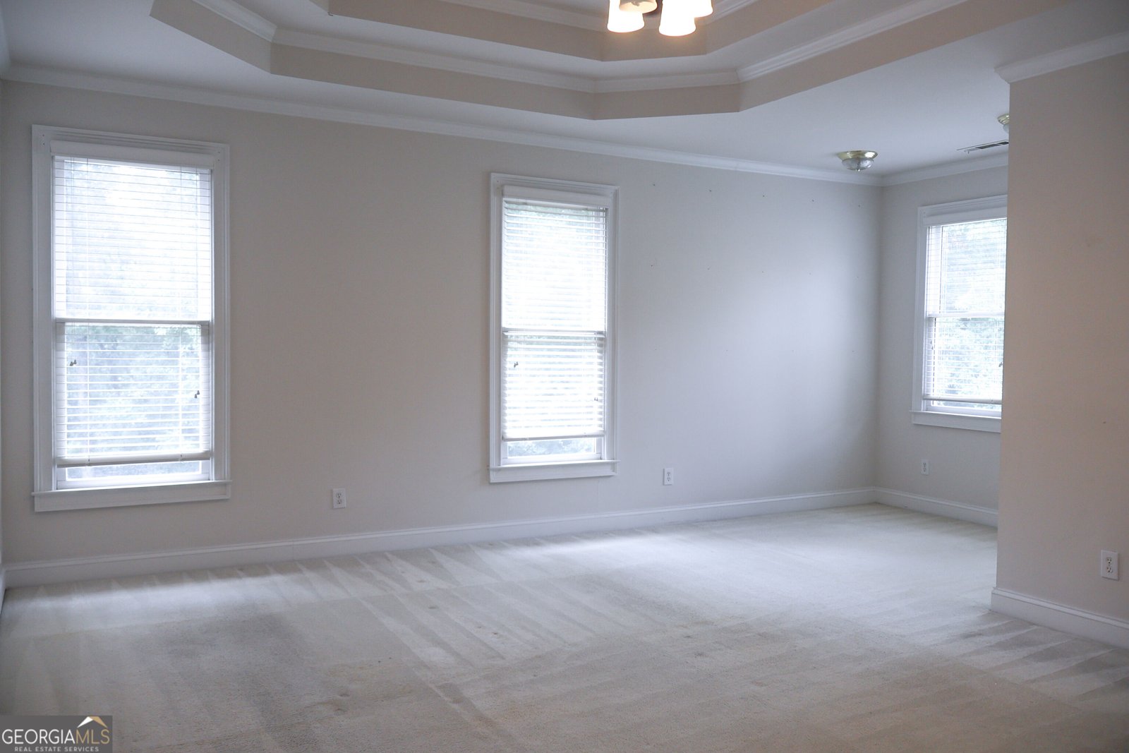 2436 Staffordshire Way Conyers - Photo 12
