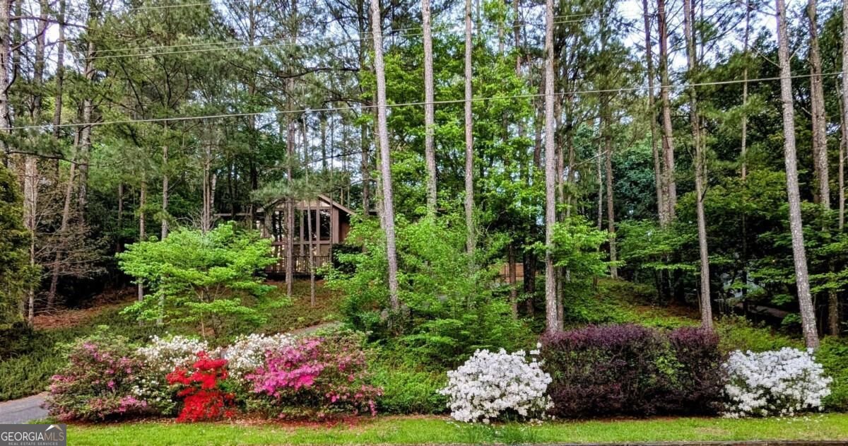 2946 Rock Bridge Road Marietta - Photo 45