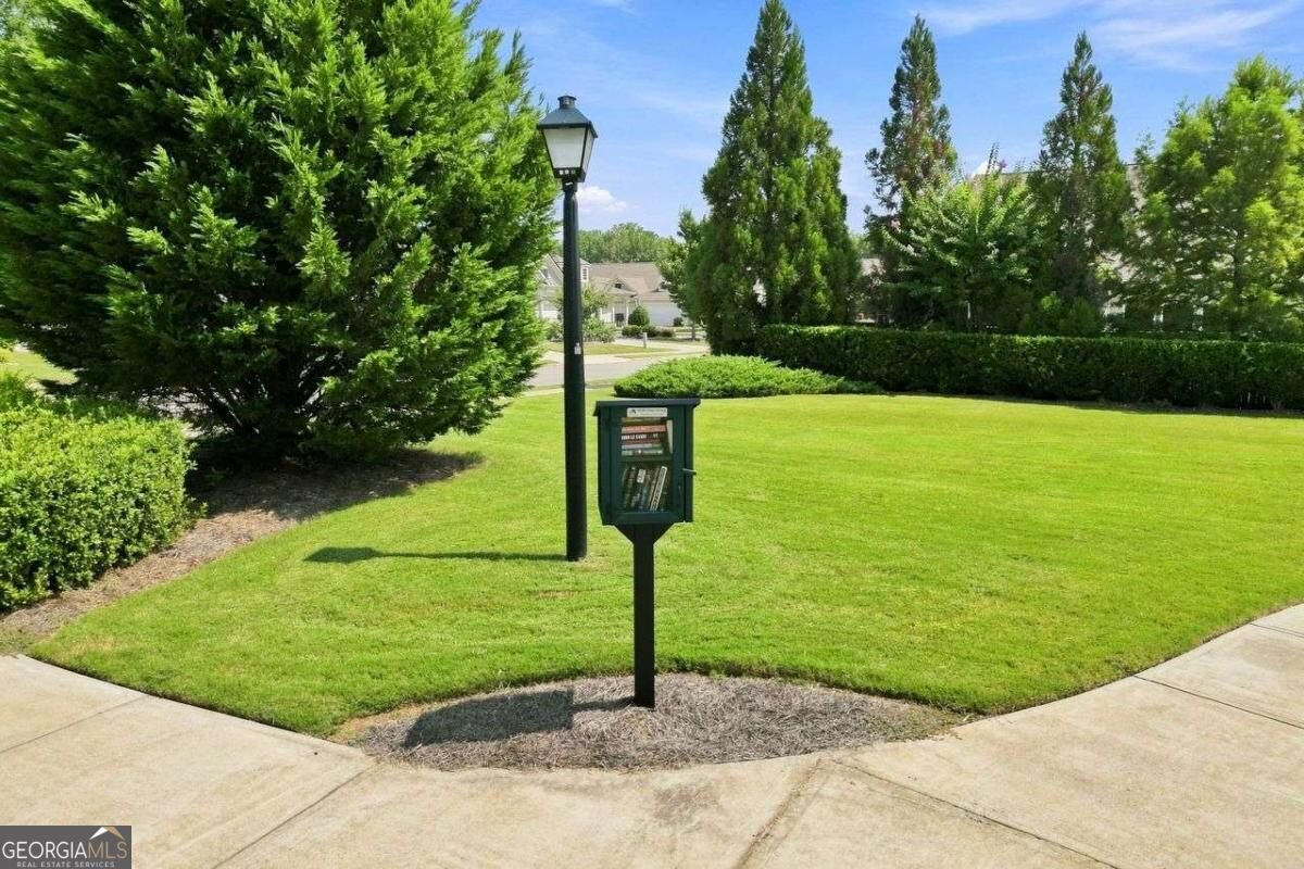 231 Windsor Park Drive Woodstock - Photo 39