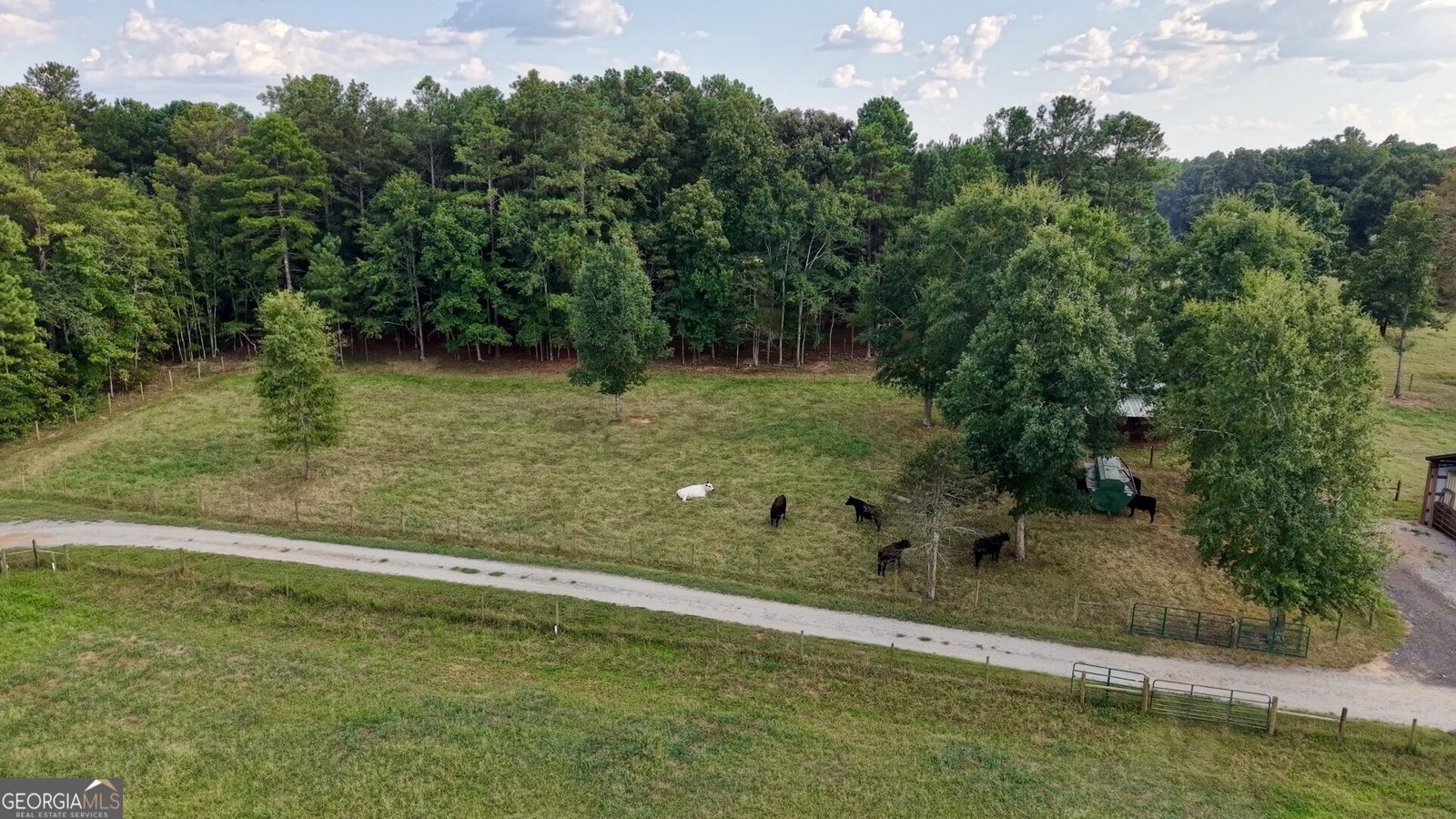 156 Perdue Road Barnesville - Photo 44