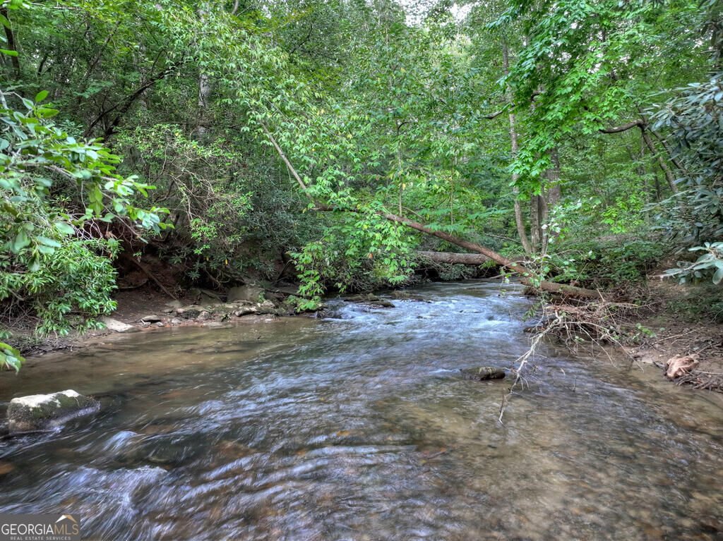 303 Major Ridge Road Blue Ridge - Photo 37