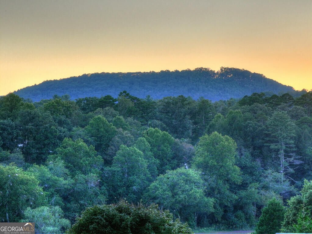 303 Major Ridge Road Blue Ridge - Photo 43