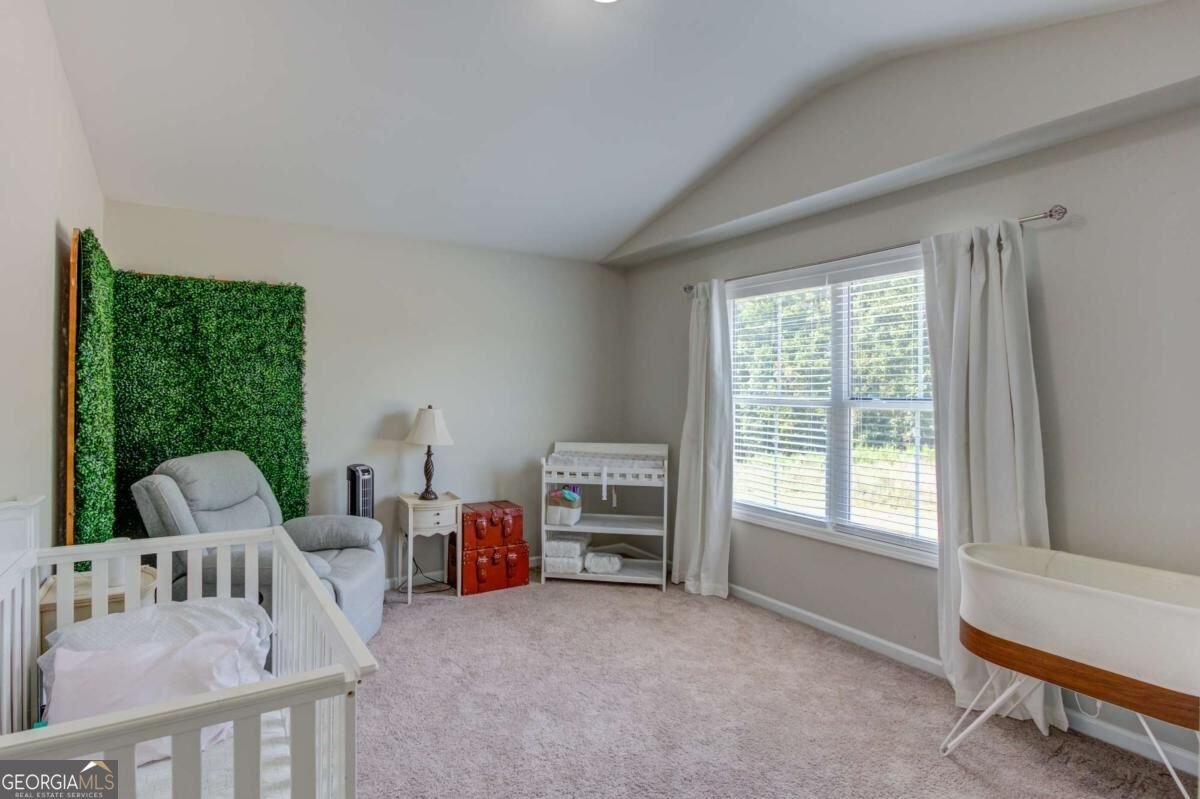 480 White Trillium Drive Hoschton - Photo 30
