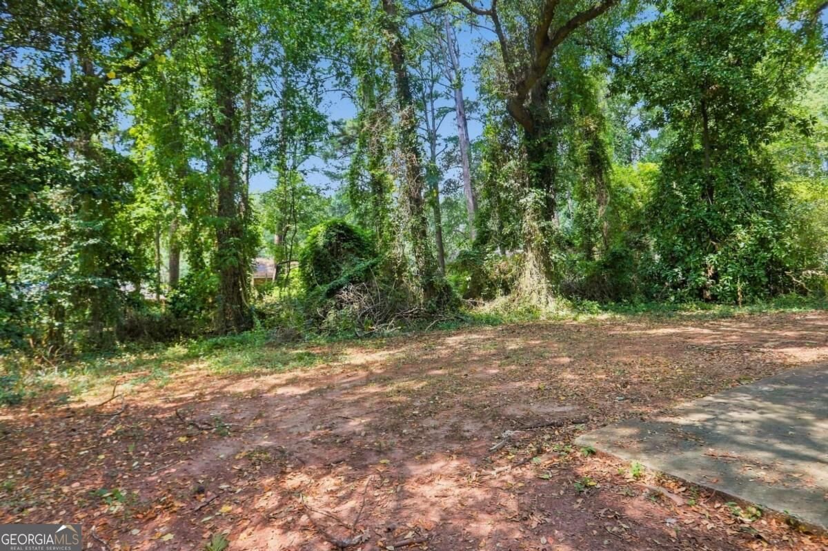 1145 Canal Street Decatur - Photo 25