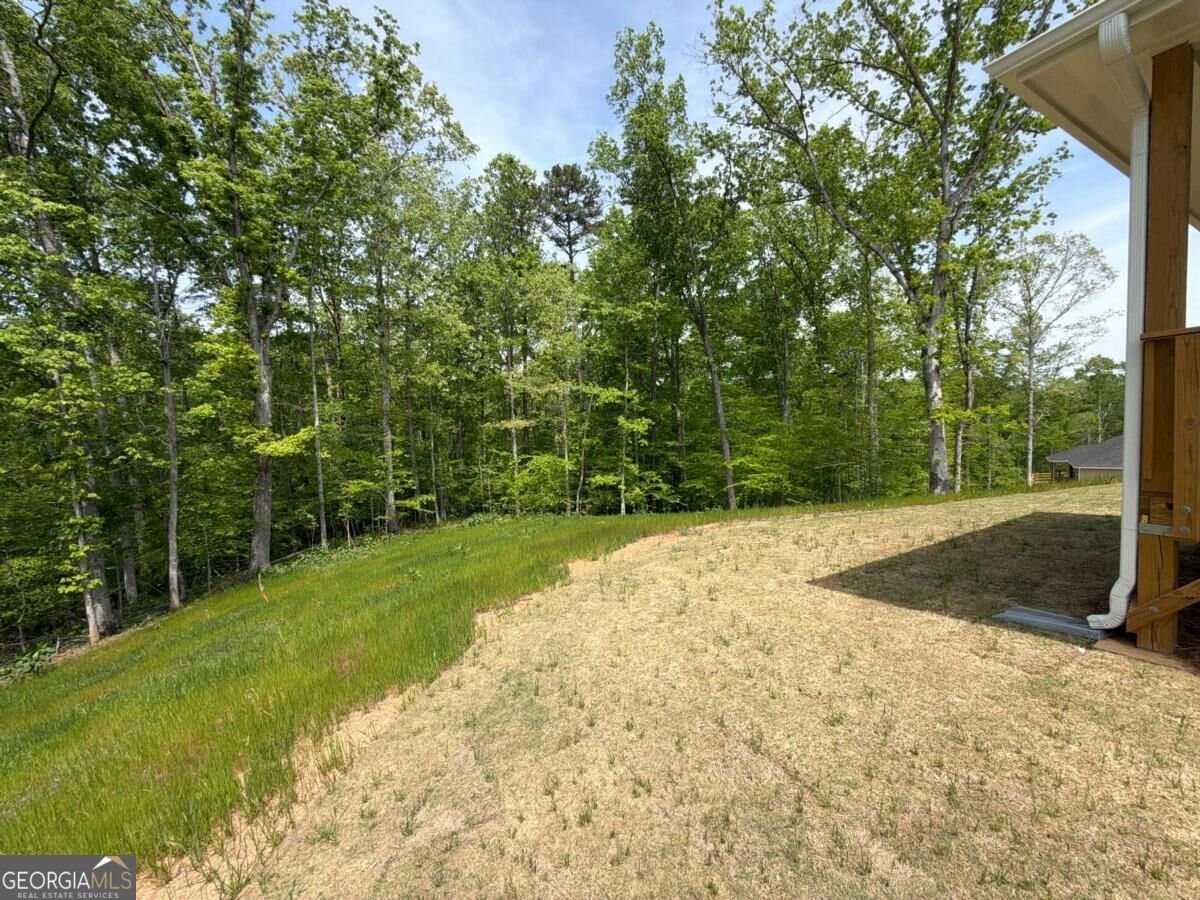 3340 Trevi Trail Douglasville - Photo 59
