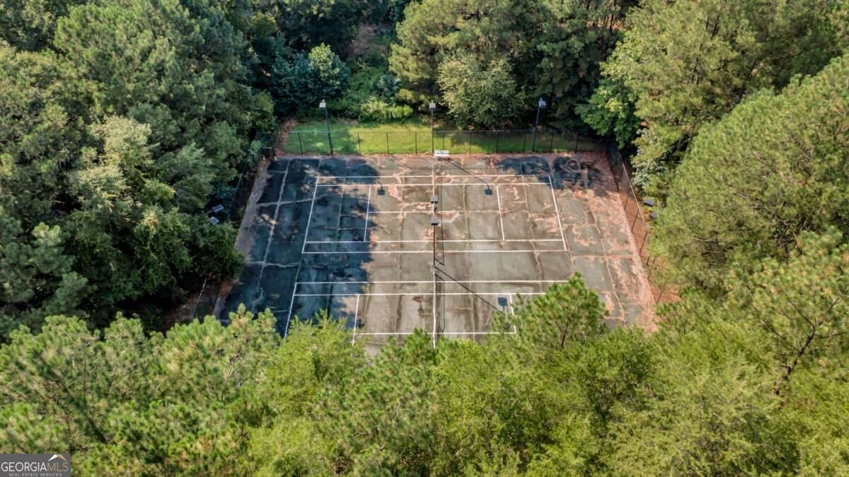 2506 Sky Valley Drive Dacula - Photo 41