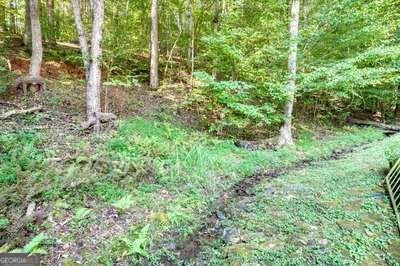 788 Ashley Circle Blairsville - Photo 55
