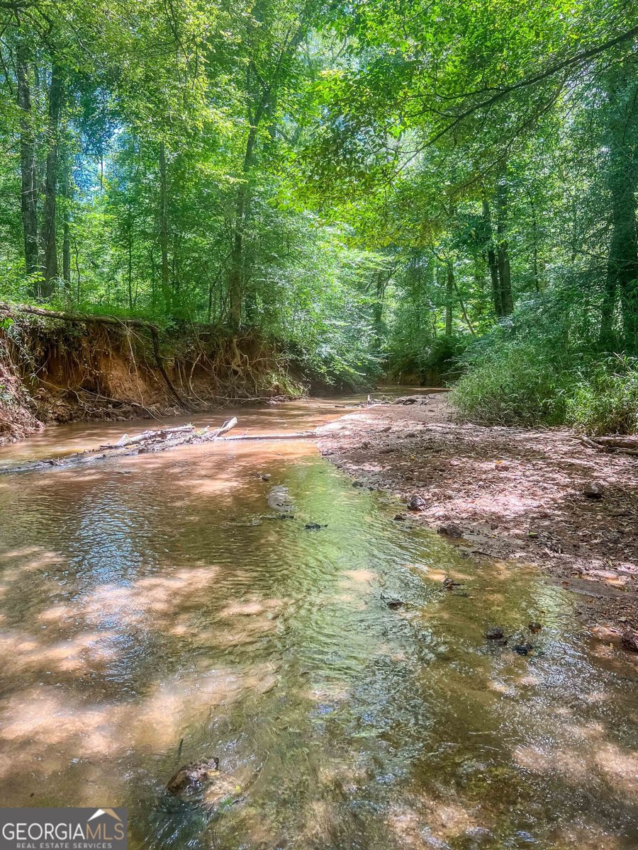 692 Hutchins Wolfskin Road Stephens - Photo 53